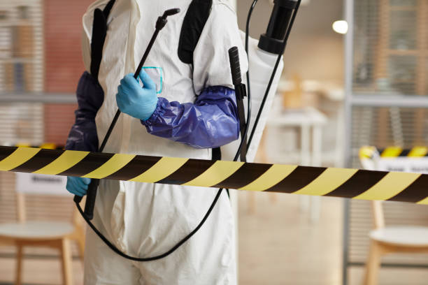 Professional Blood Cleanup technician working in Anza, CA