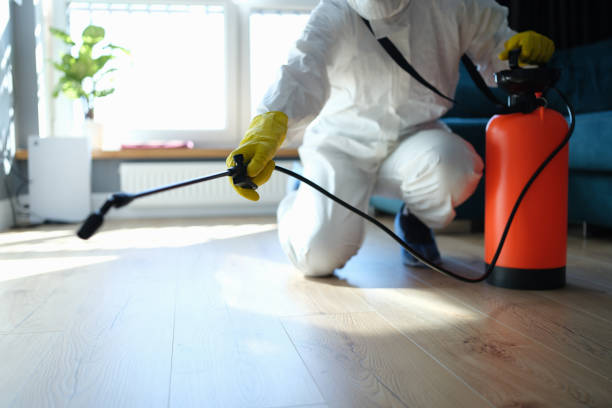 Reliable Blood Cleanup contractor in Anza, CA by Dulley Family Biohazard Services